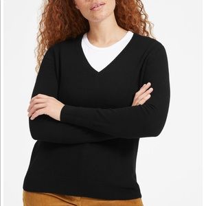Everlane V-neck Cashmere Sweater